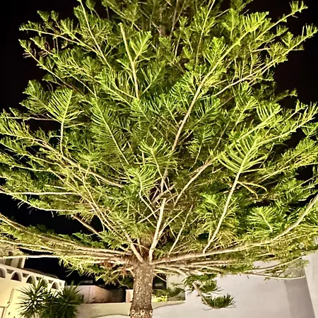 Miracles By Anastasia Princess, Adults Only 4* Περίσσα